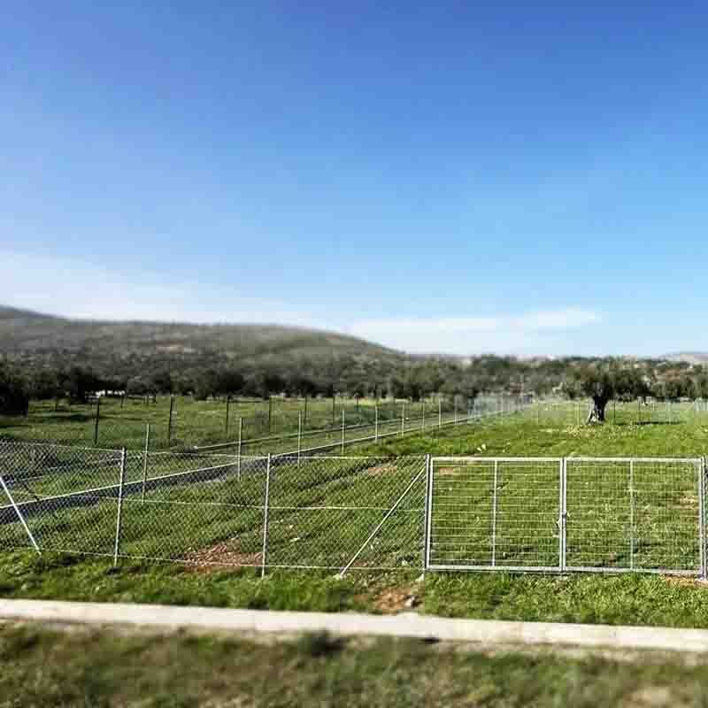 Οικόπεδα Πωλήσεις